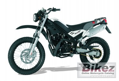 2011 Rieju Tango 250