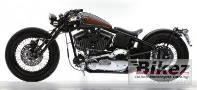 2015 Road Hopper Type9i