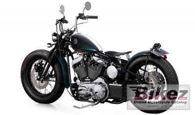 2021 Road Hopper Type2i