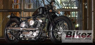 2021 Road Hopper Type2i