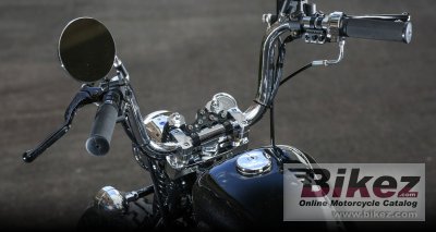 2021 Road Hopper Type2i
