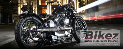 2021 Road Hopper Type2i