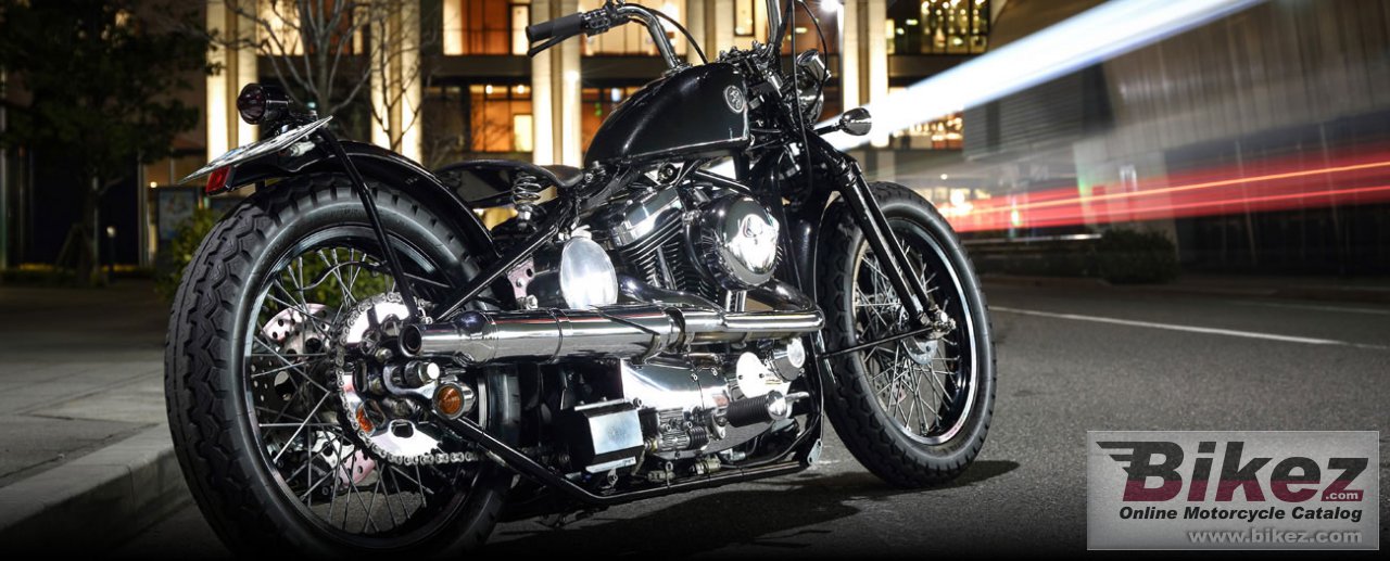 Road Hopper Type2i