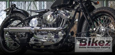 2021 Road Hopper Type2i