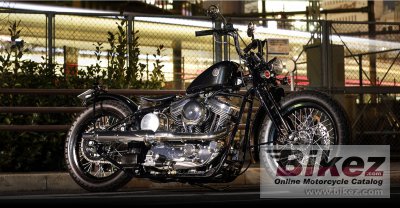 2021 Road Hopper Type2i