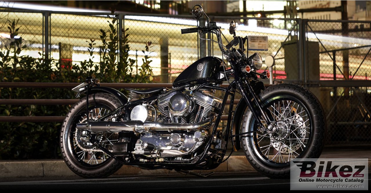 Road Hopper Type2i