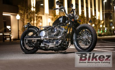 2021 Road Hopper Type2i