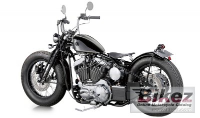 2022 Road Hopper Type2i