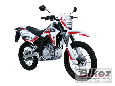 2013 Sachs ZX 125 Enduro rated