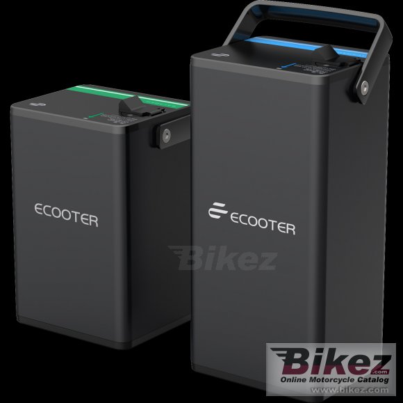 2021 Saxxx Ecooter E2Max