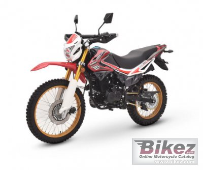 Senke SK 250GY