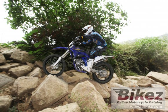 2012 Sherco SE 250i