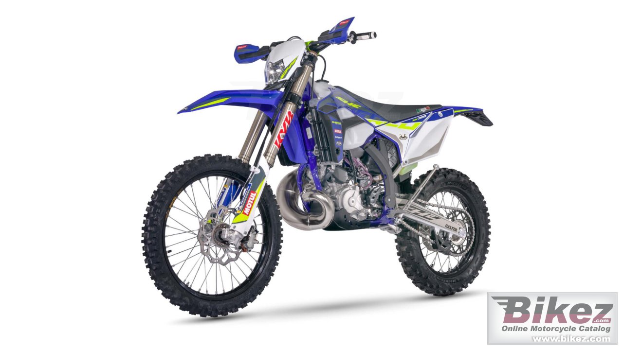 Sherco 250 SE Factory