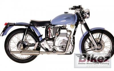 2022 Sommer Diesel 516