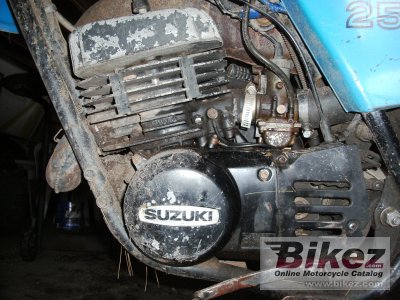 1981 Suzuki TS 250 ER