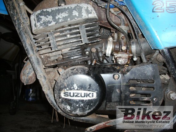 1981 Suzuki TS 250 ER