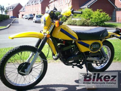 1981 Suzuki TS 250 ER