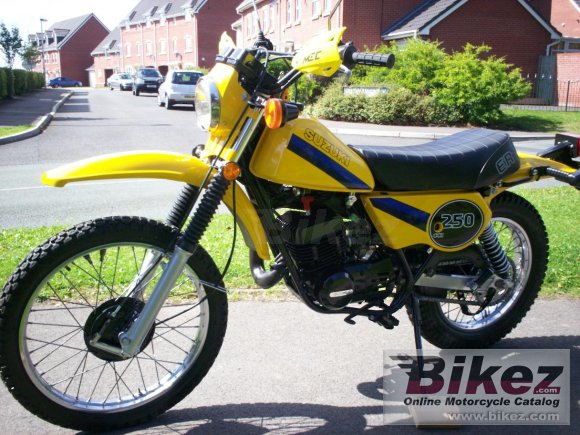 1981 Suzuki TS 250 ER