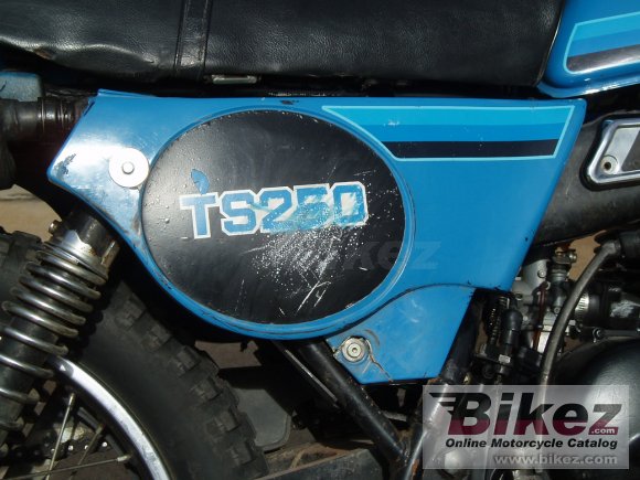 1981 Suzuki TS 250 ER