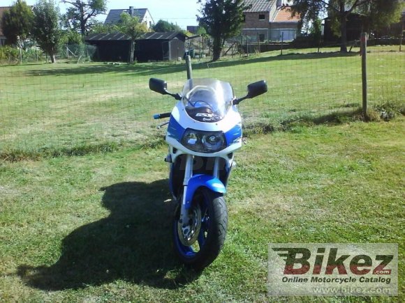 1995 Suzuki GSX-R 1100 WS