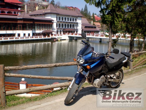 2001 Suzuki XF 650 Freewind