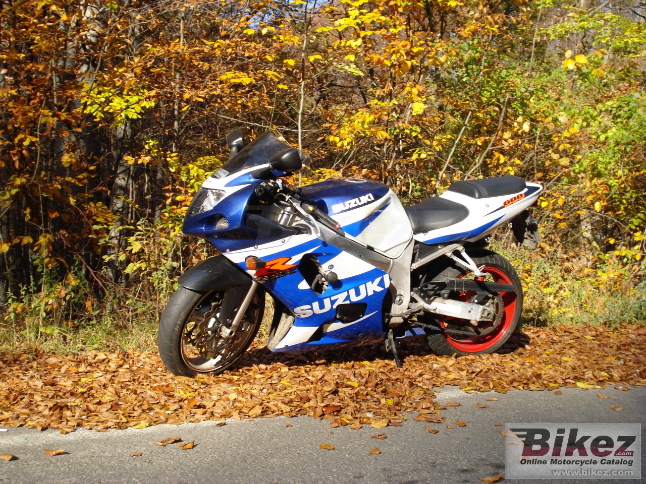 Suzuki GSX-R 600