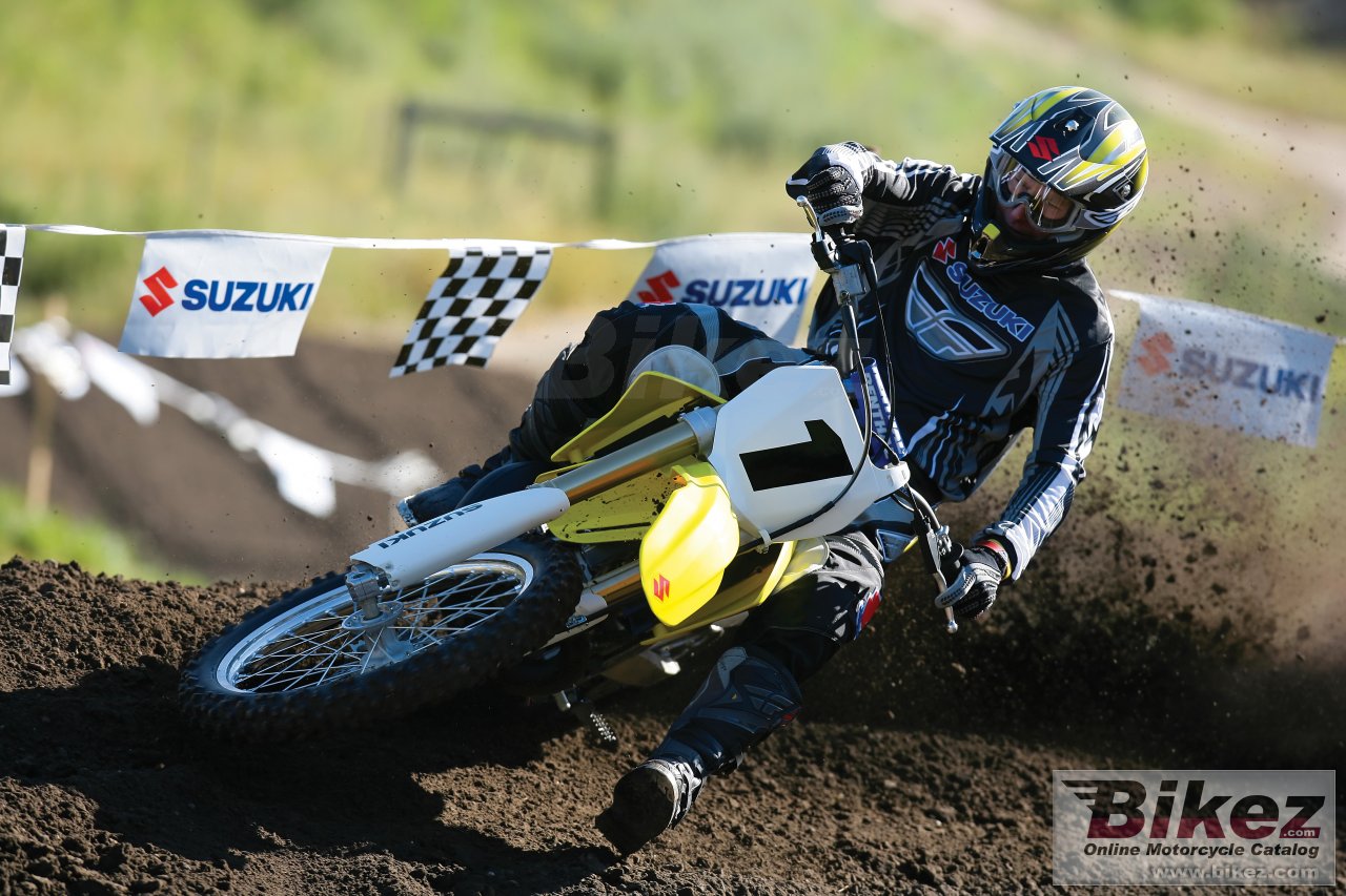 Suzuki RM 250