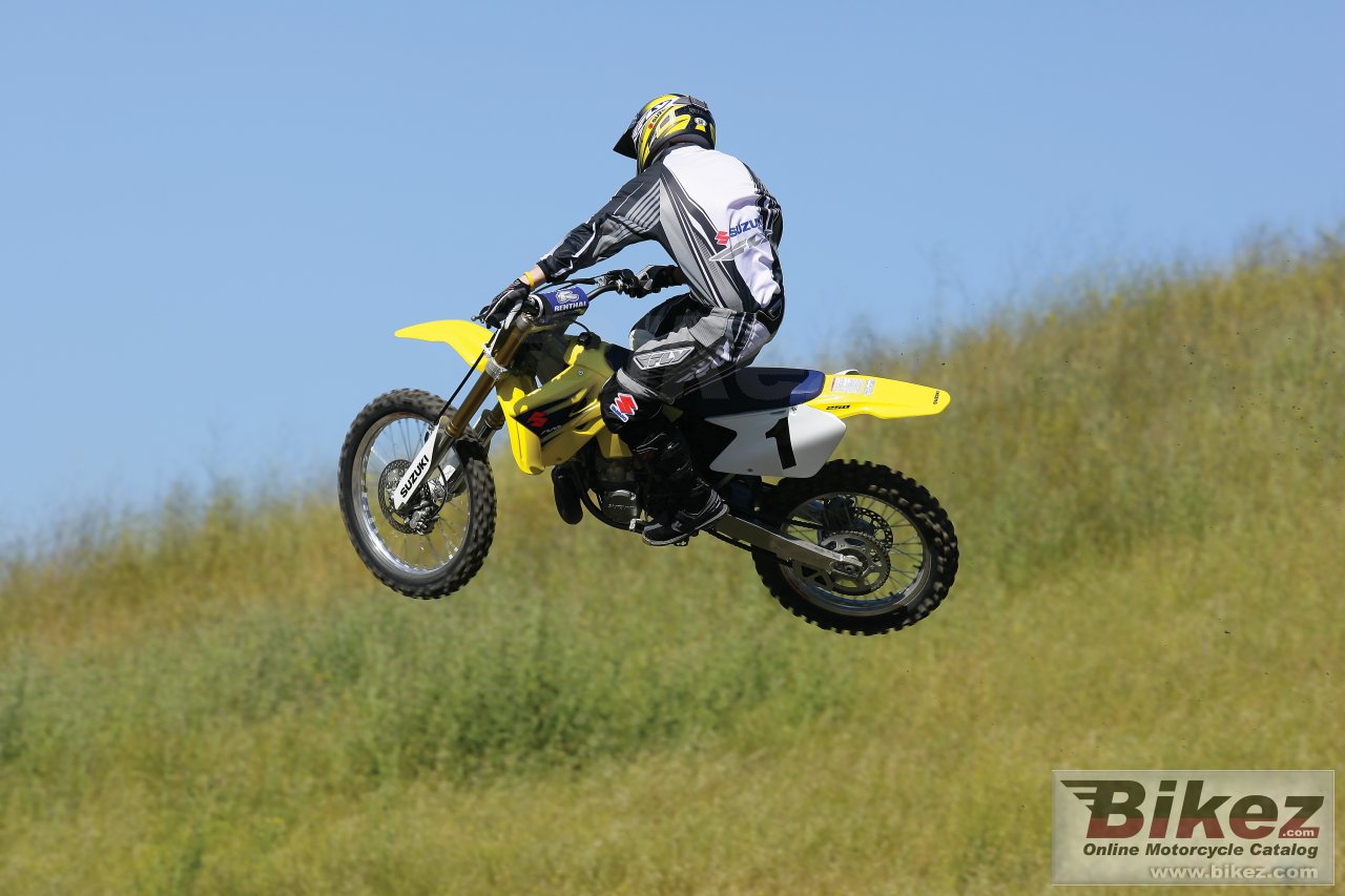 Suzuki RM 250