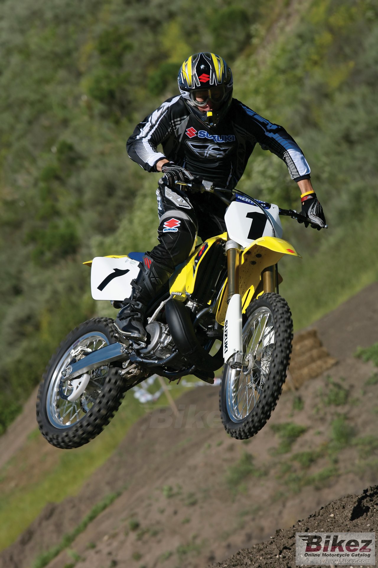 Suzuki RM 250