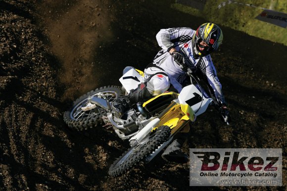 2007 Suzuki RM 250