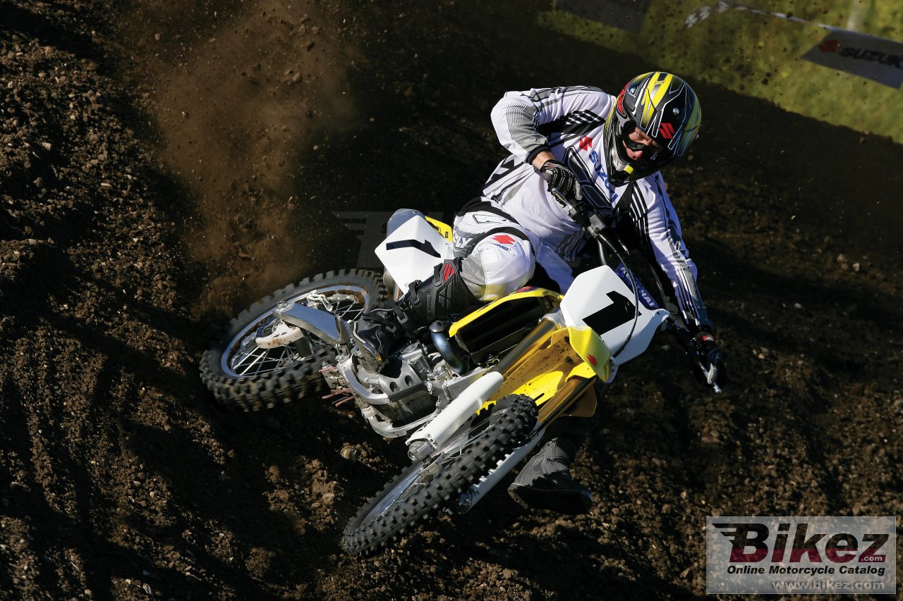 Suzuki RM 250