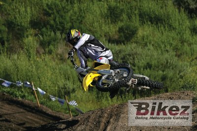 2007 Suzuki RM 250
