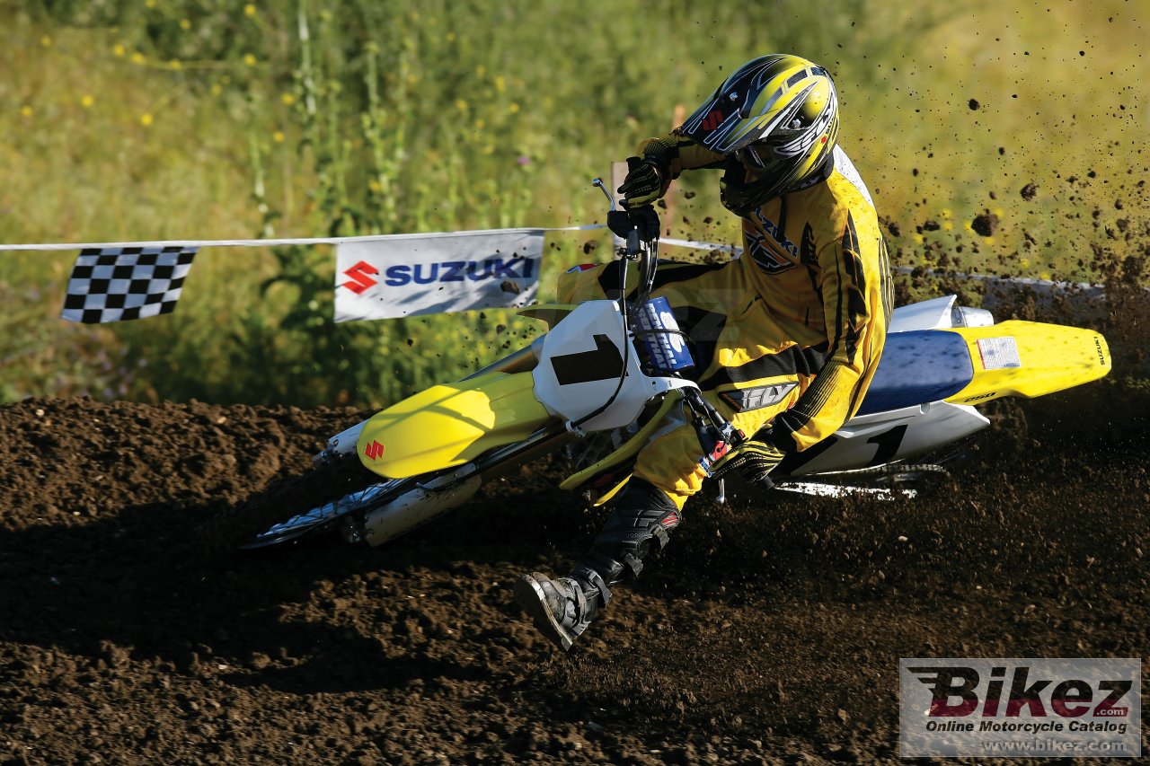 Suzuki RM-Z 250