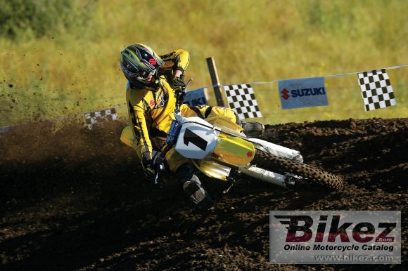 2007 Suzuki RM-Z 250