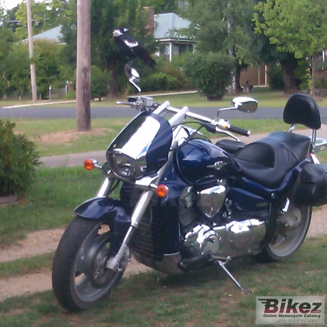 Suzuki Boulevard M109R