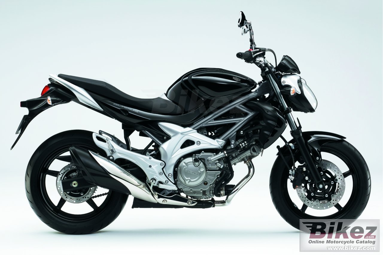 Suzuki Gladius