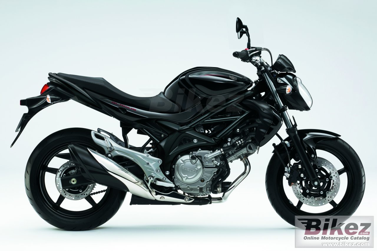 Suzuki Gladius