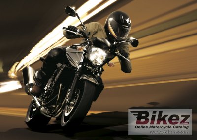 2013 Suzuki Bandit 1250