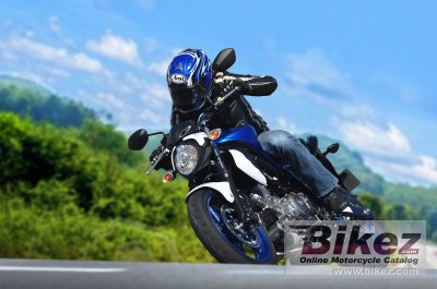 2014 Suzuki Gladius