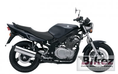 2014 Suzuki GS500