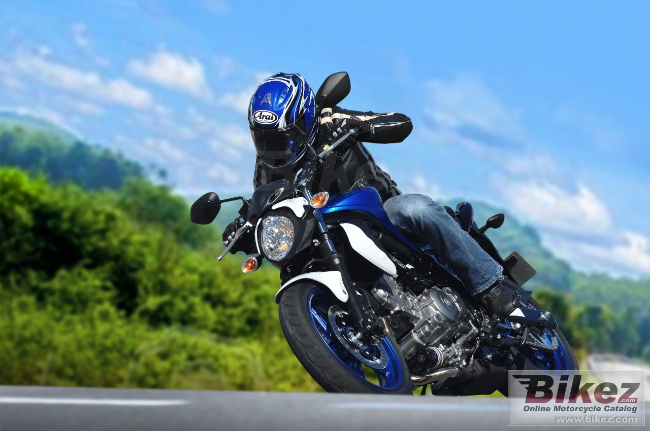 Suzuki Gladius 650