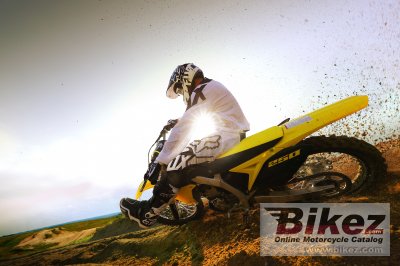 2017 Suzuki RM-Z250