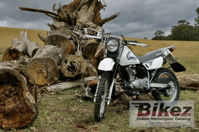 2017 Suzuki Trojan