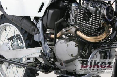 2017 Suzuki Trojan