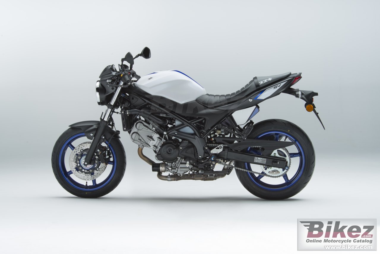 Suzuki SV650 Gilles Dealer Edition