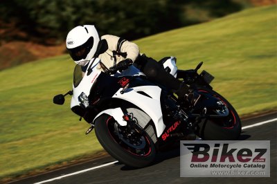 2019 Suzuki GSX-R1000R