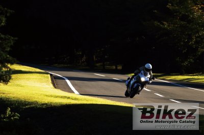2019 Suzuki GSX-R1000R