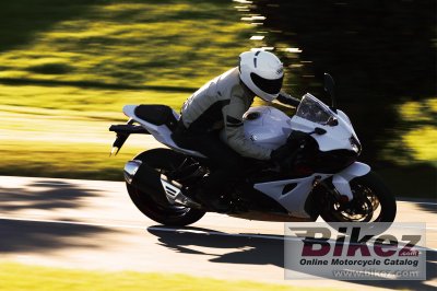 2019 Suzuki GSX-R1000R