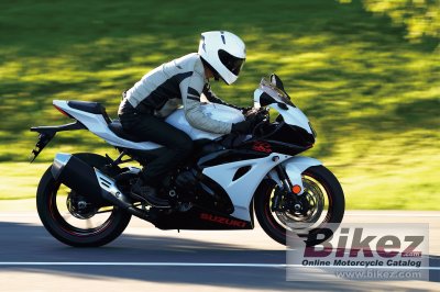 2019 Suzuki GSX-R1000R