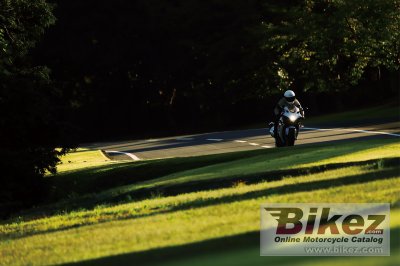 2019 Suzuki GSX-R1000R